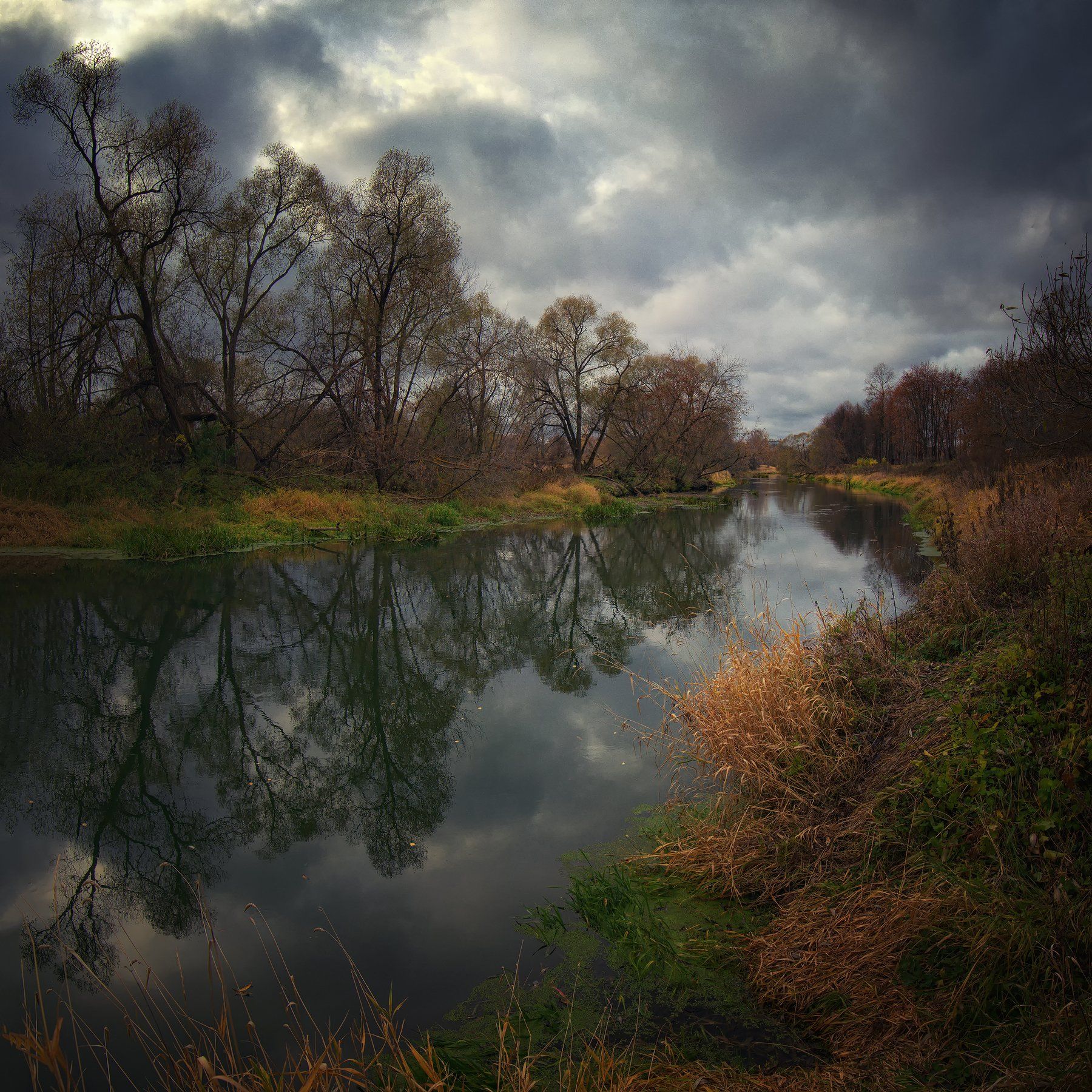 лес, природа, пейзаж, осень, река, вода, ручей, подмосковье, Алексей Никонов