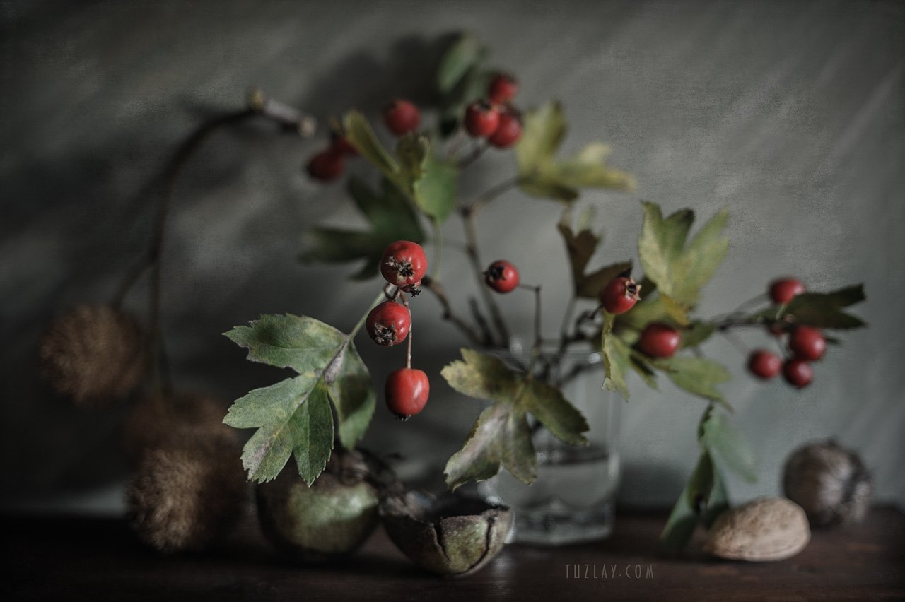 боярышник, стакан, красные ягоды, орехи, Владимир Тузлай