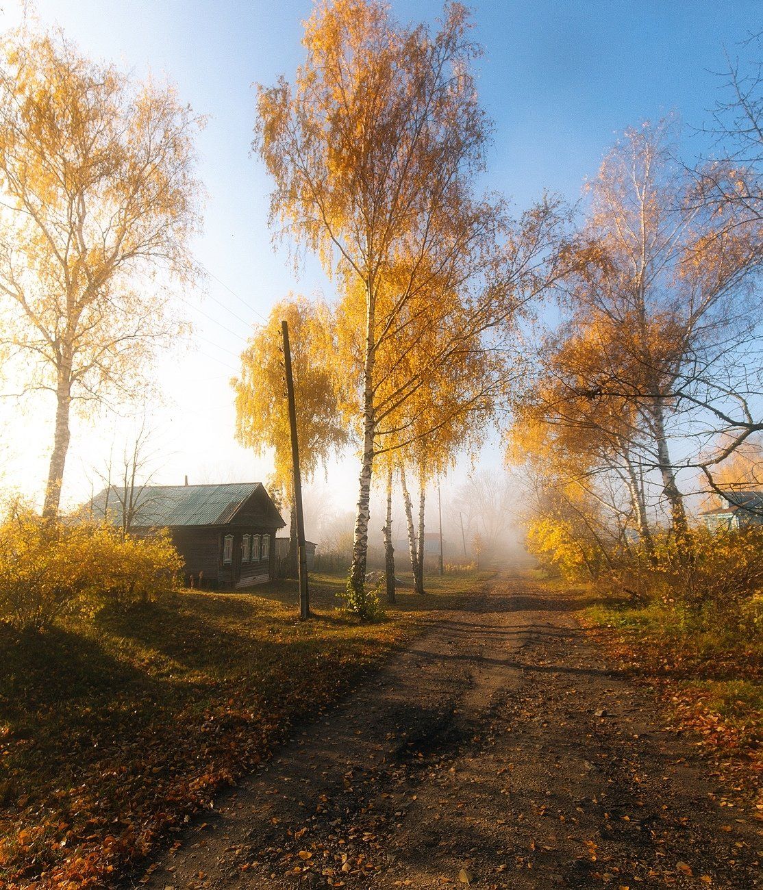 осень, туман, деревня, утро, Настя Рыж