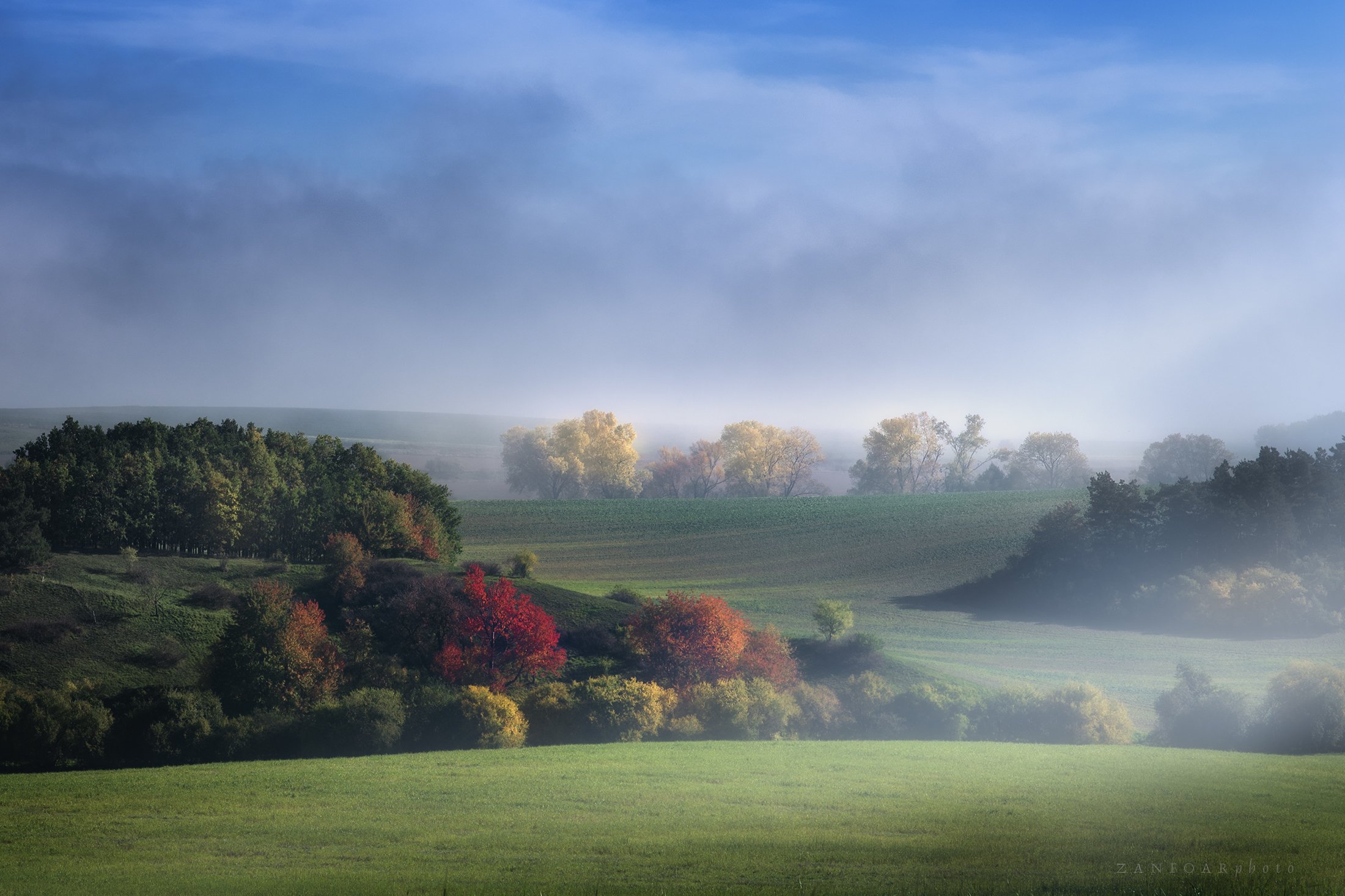 landscape,fog,fogy,zanfoar,nikon d750,haze,misty,czech republic,mood,moody,чехия, Zanfoar