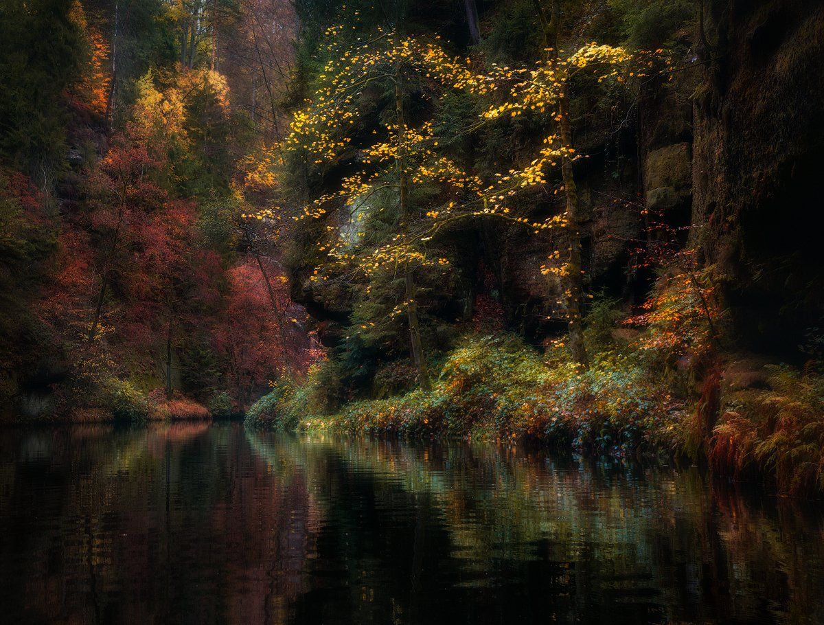 Осень, деревья, скалы, вода, ручей, Cтанислав Малых