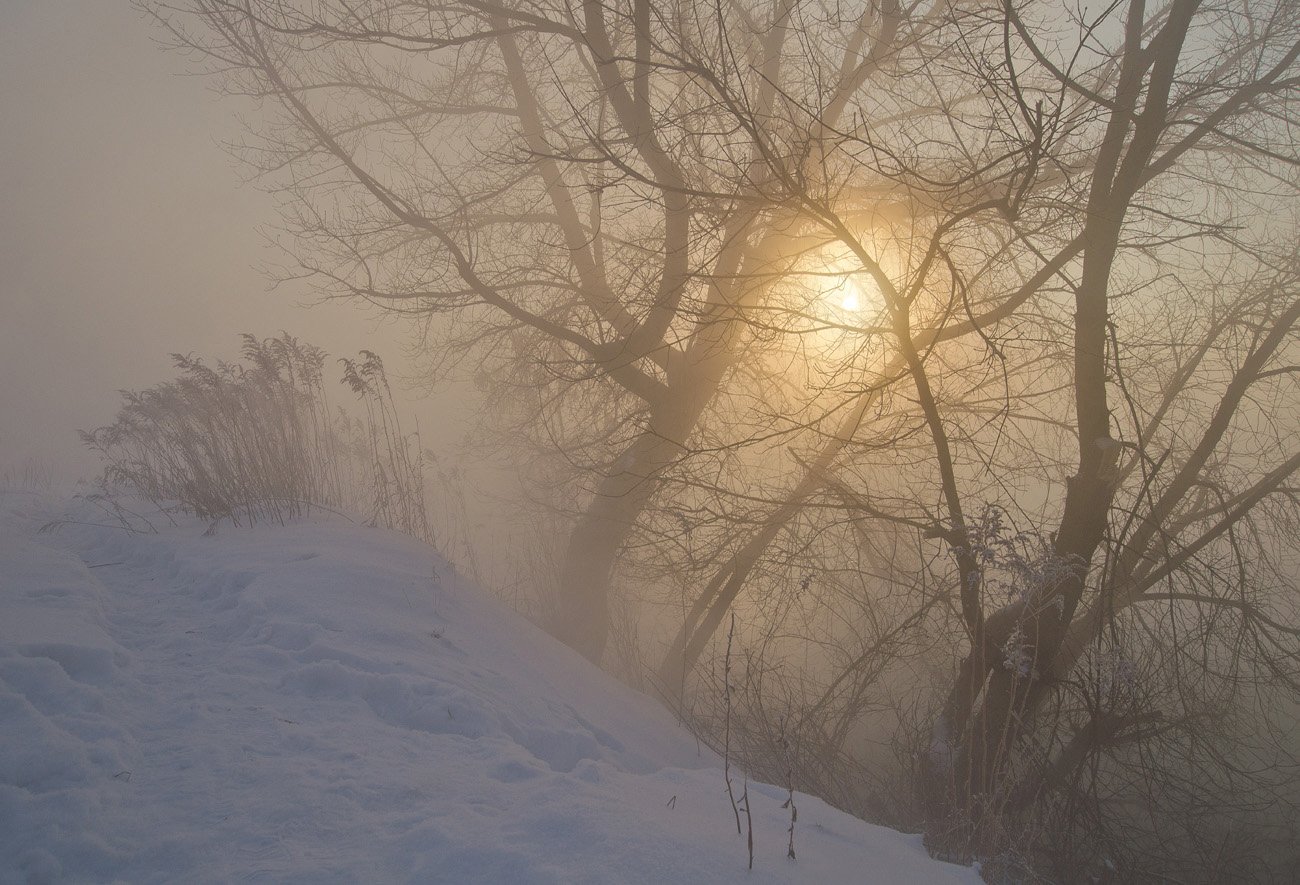 зима, рассвет, природа, Михаил Агеев