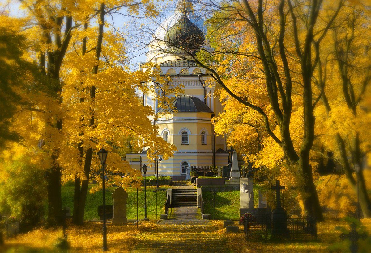 , Алексей Герасимов