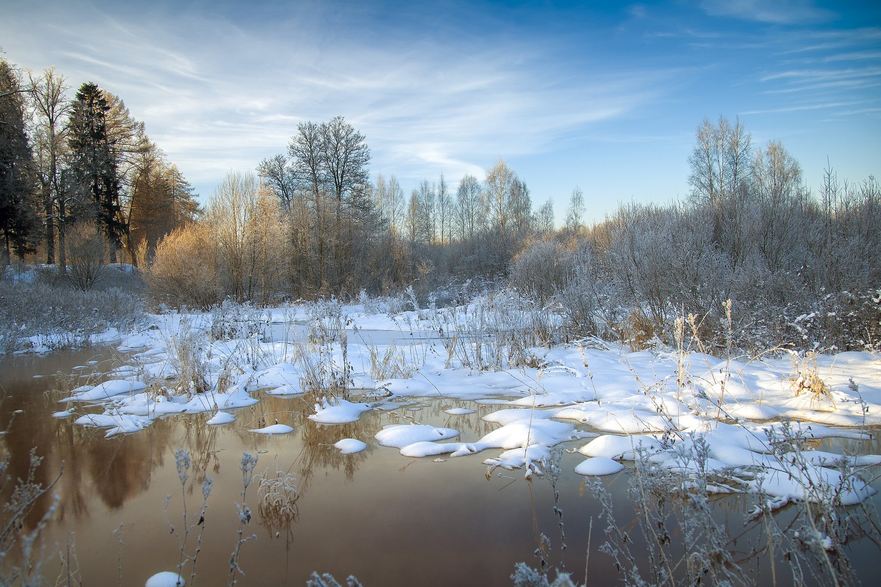 зима, снег, река, деревья, парк, утро, Александр Игнатьев