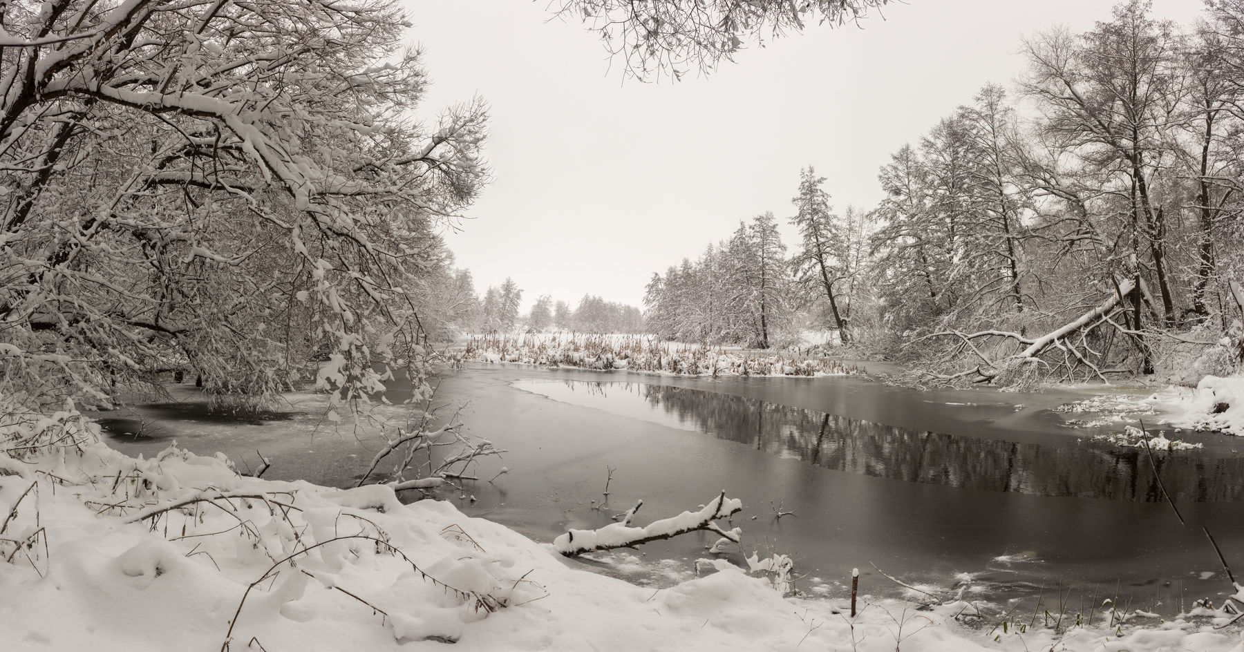лес, снег, река, ноябрь, зима, Руслан Востриков