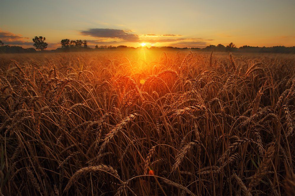 udria, estonia, landscape, Aleksandr Kljuchenkow