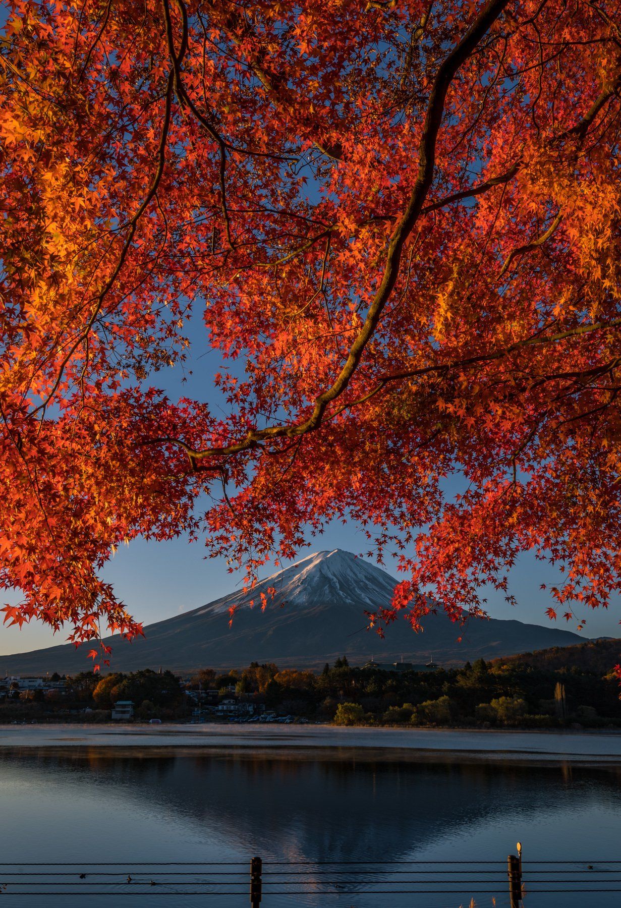 fuji, landscape, japan, autumn, nature, mountain, lake, japan, Hasan Jakaria