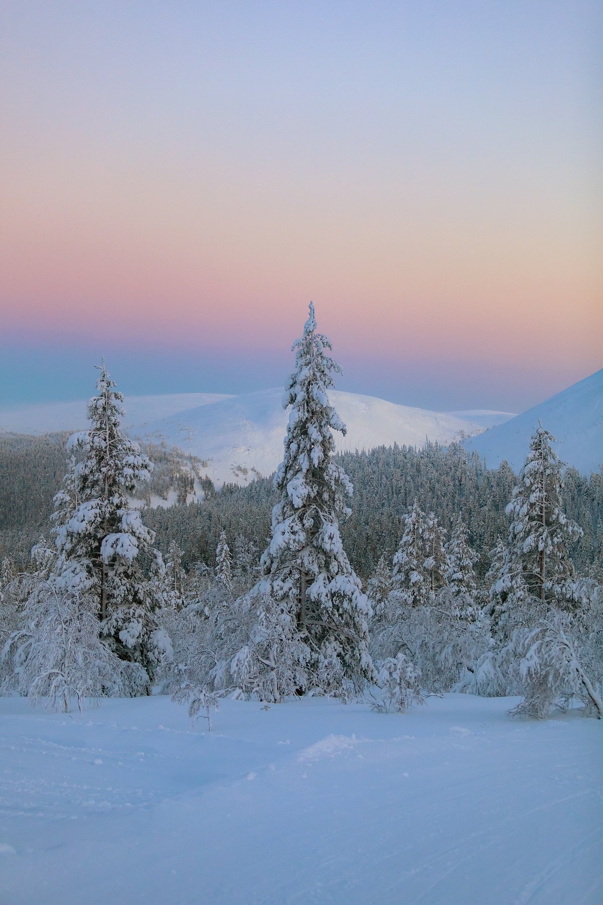 зима, снег, вечер, горы, лес, Александр Игнатьев