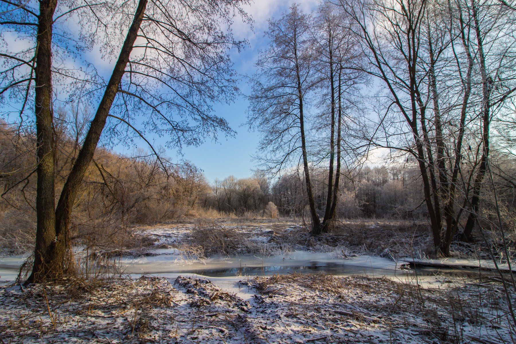 лес, иней, мороз, ручей, вода, Руслан Востриков