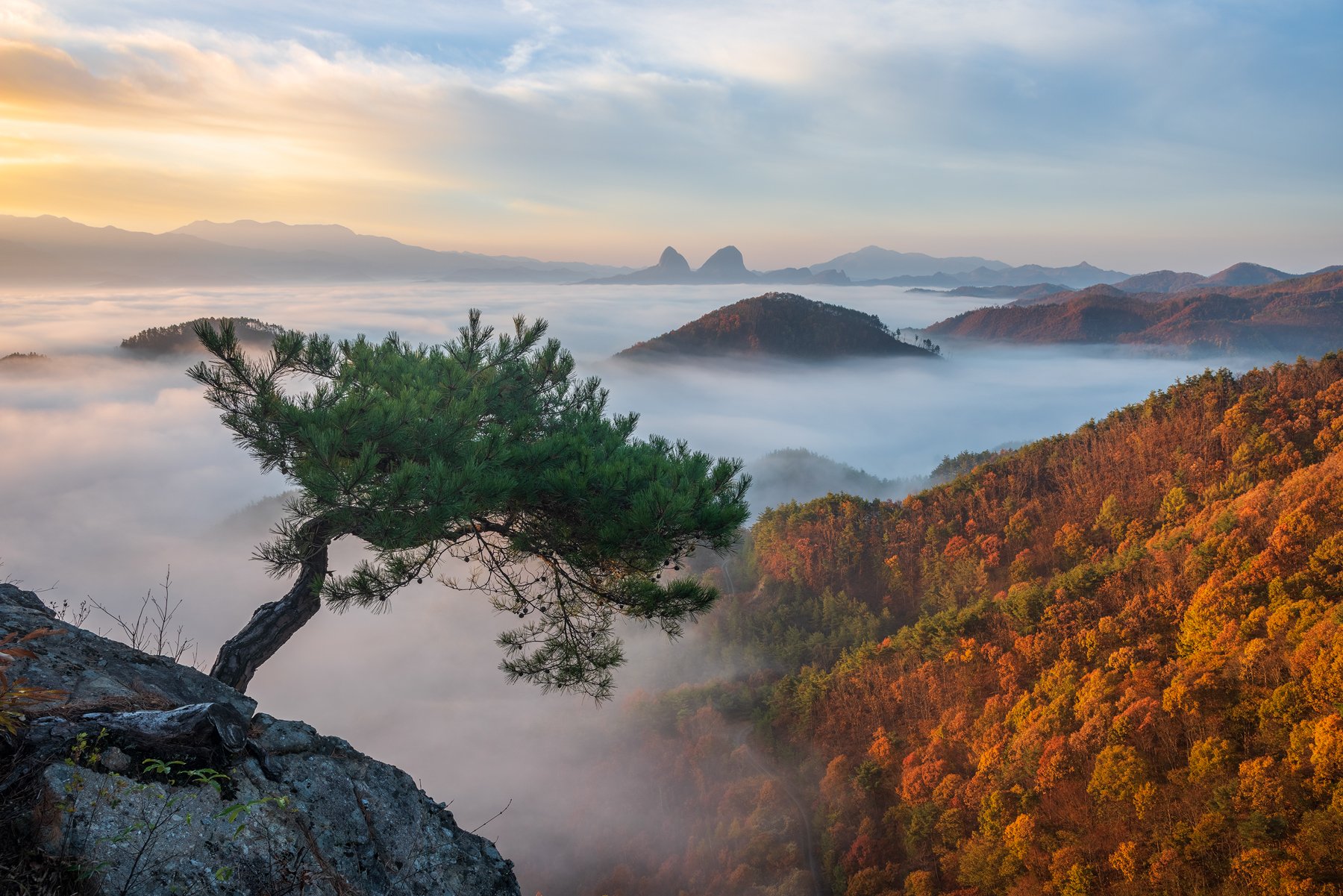 mountains, foliage, bonsai, pine, rock, autumn, Jaeyoun Ryu