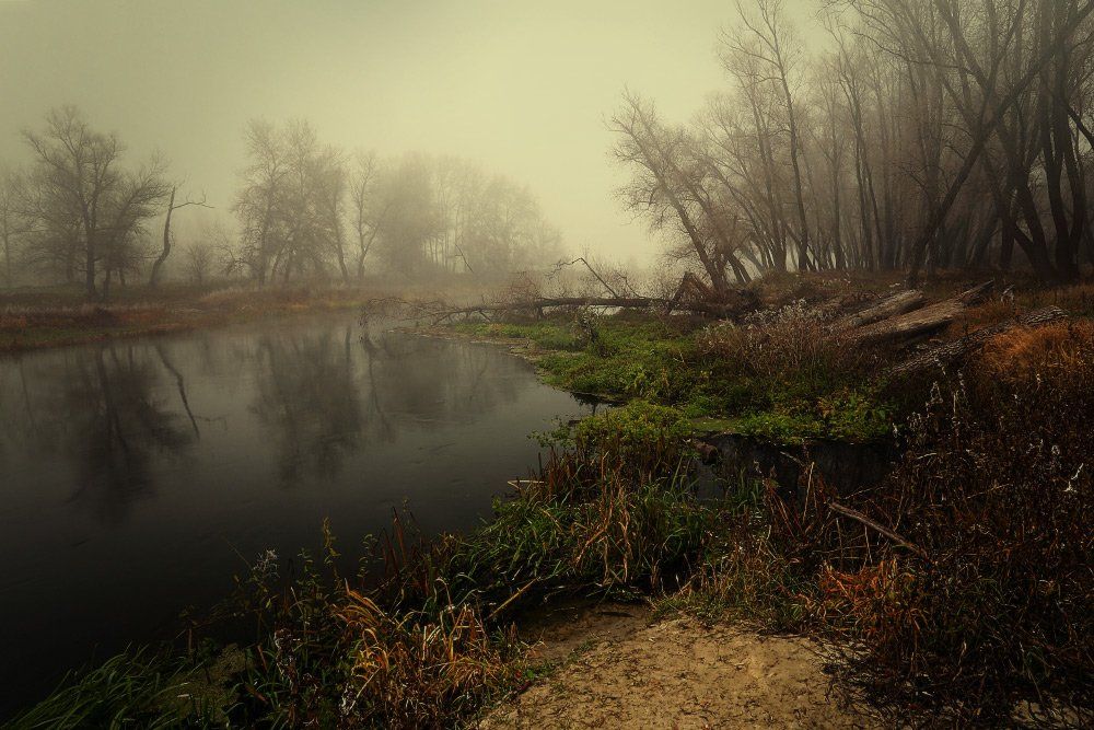осень октябрь  река вечер туман, Петриченко Валерий