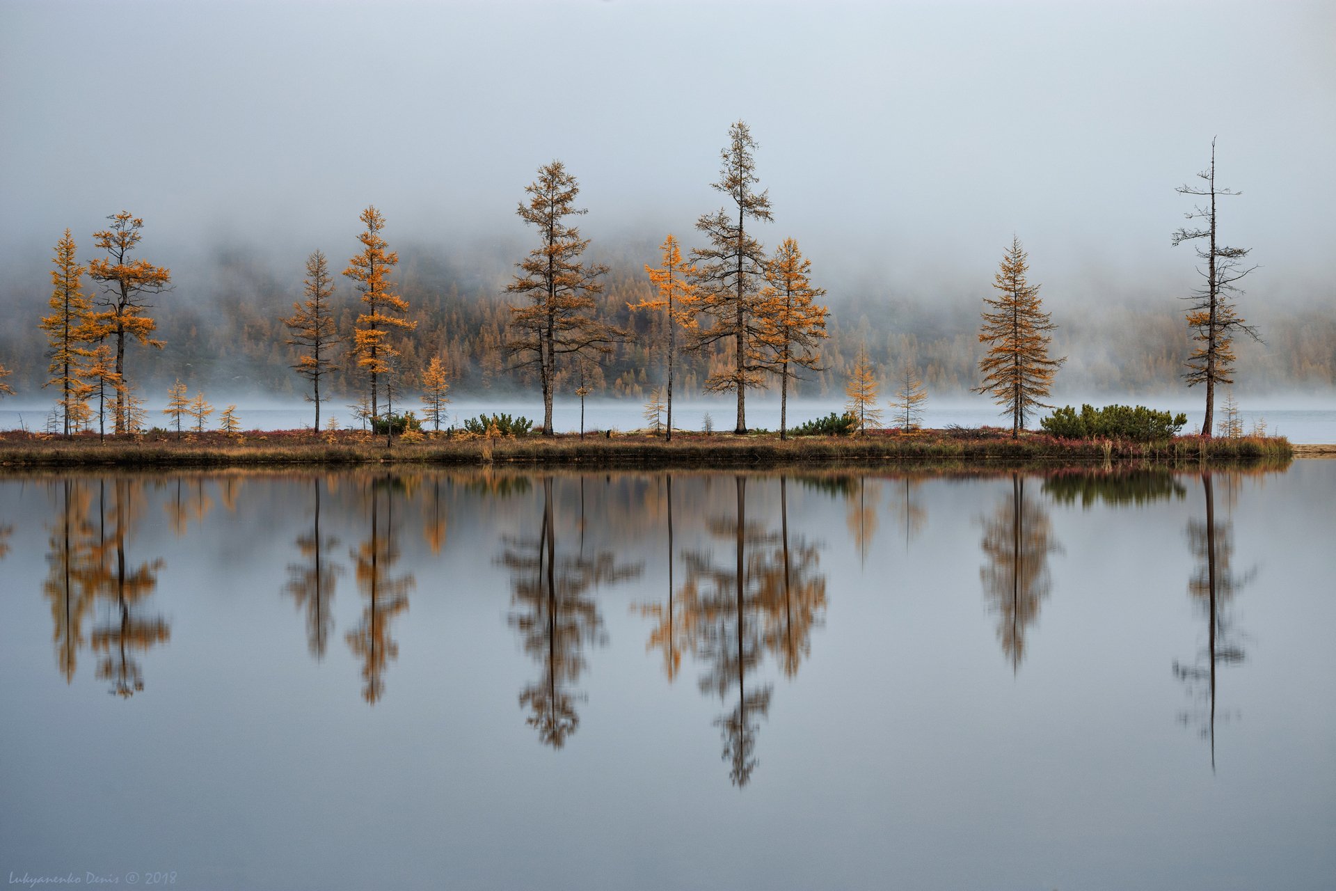 2018, россия, колыма, утро, осень, горы, лиственницы, деревья, туман, отражение, Денис Лукьяненко