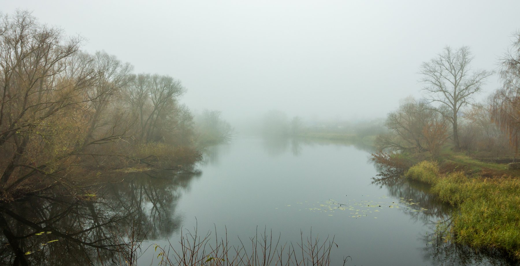 река, туман, деревья, осень, ноябрь, Руслан Востриков