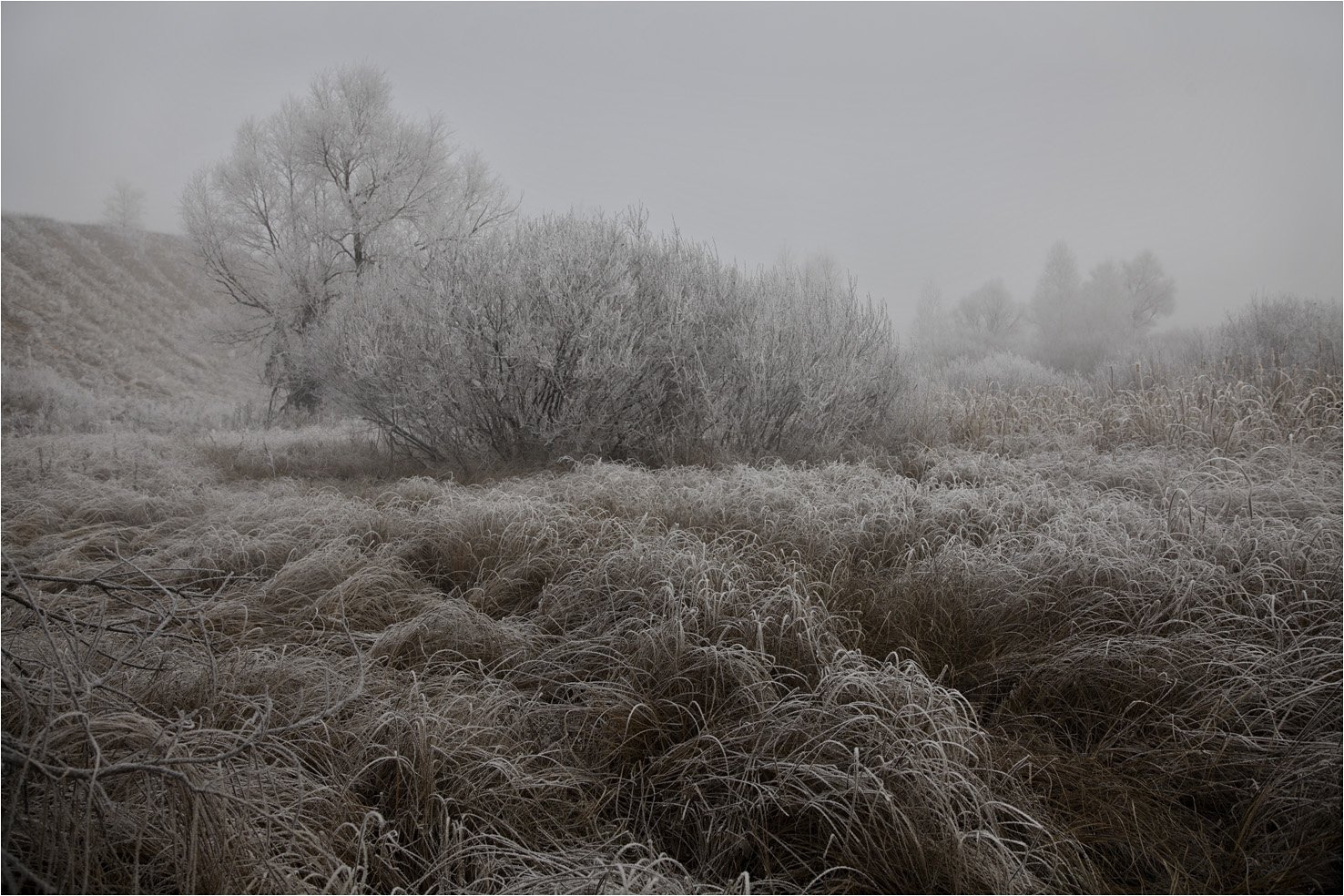 трава туман, Виктор Кириллов