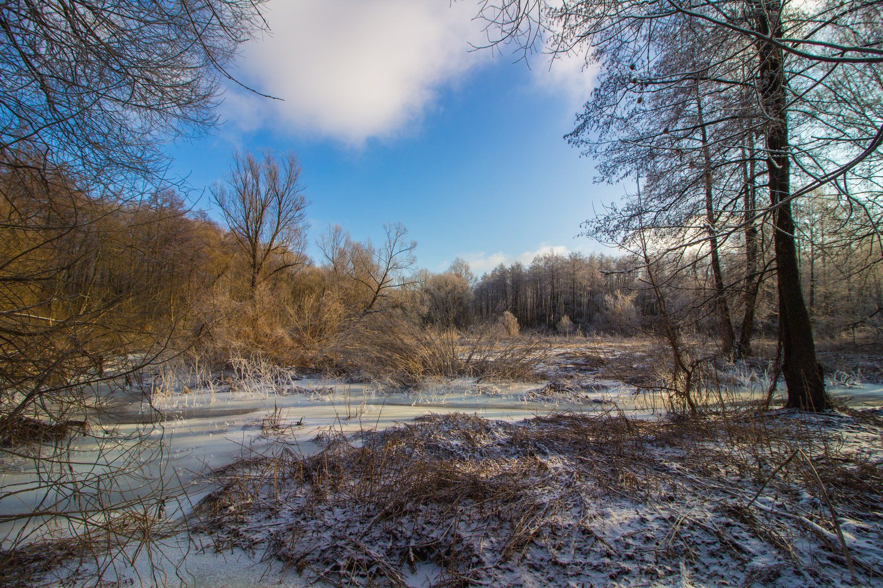 лес, зима, иней, ручей, мороз, Руслан Востриков