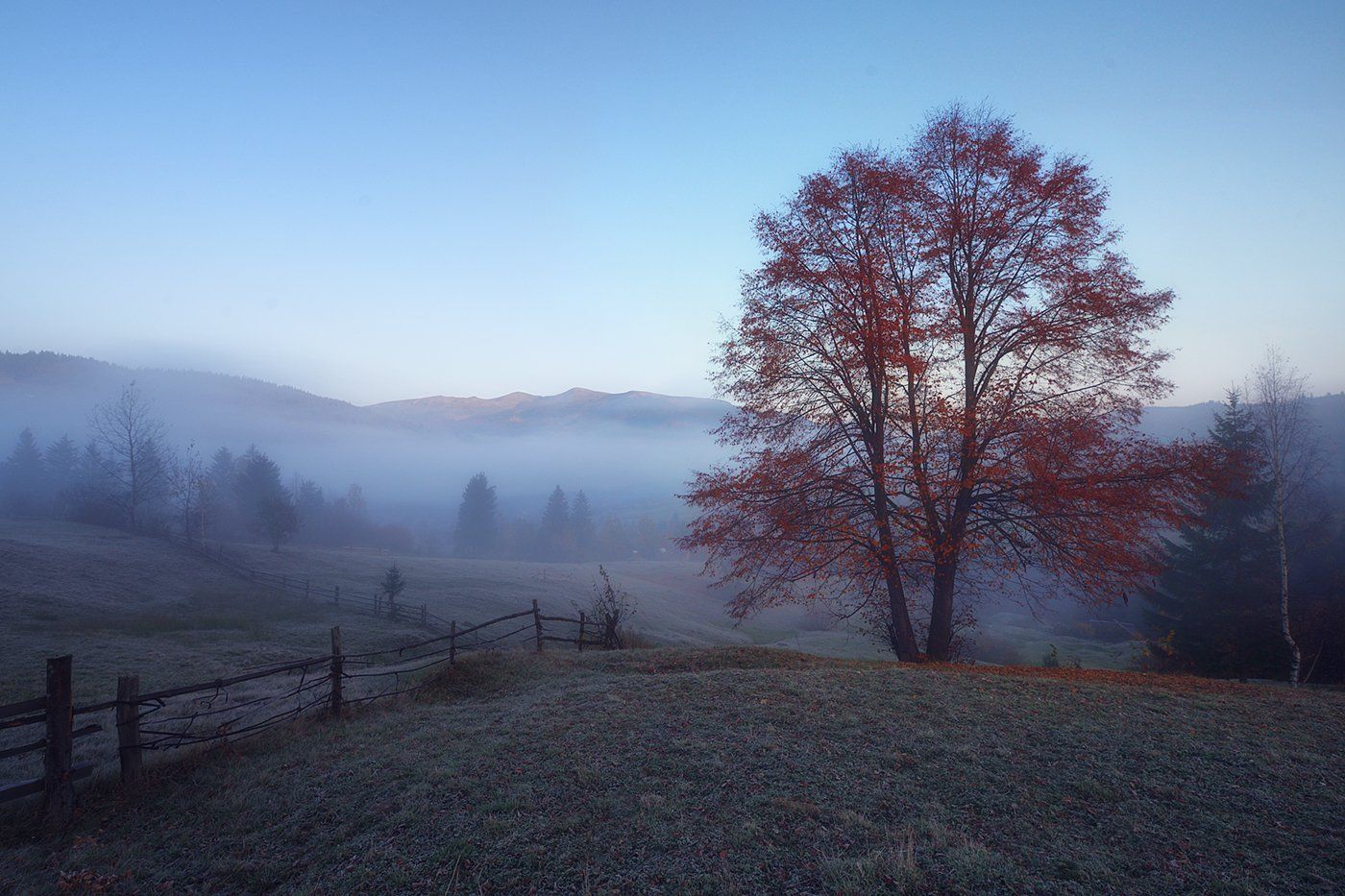 горы, осень, утро, туман, Вьюшкин Игорь