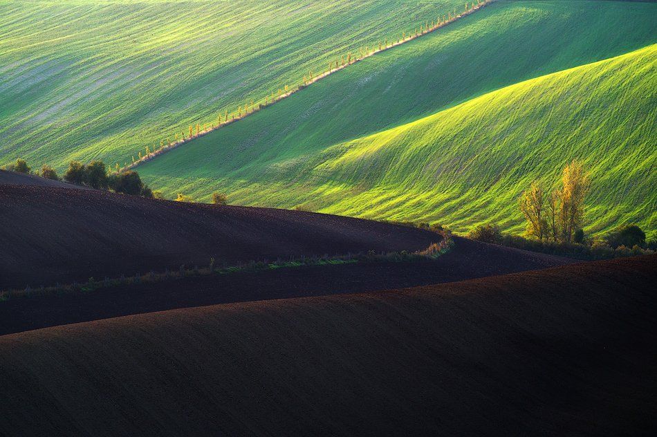 , Marcin Sobas