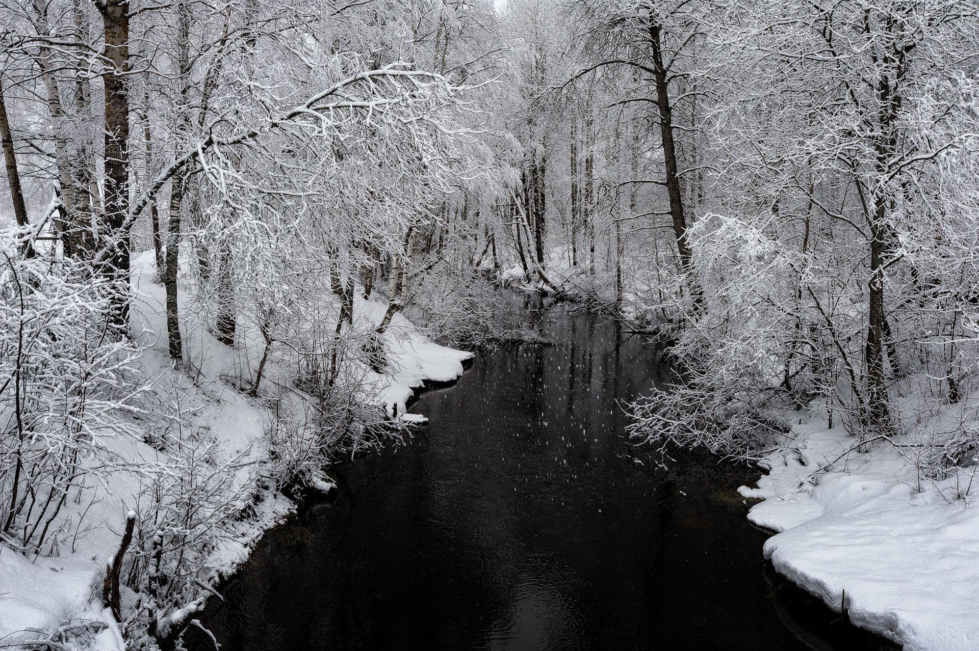 зима,деревья,ветви,снег,вода,река,пейзаж, Евгений Плетнев