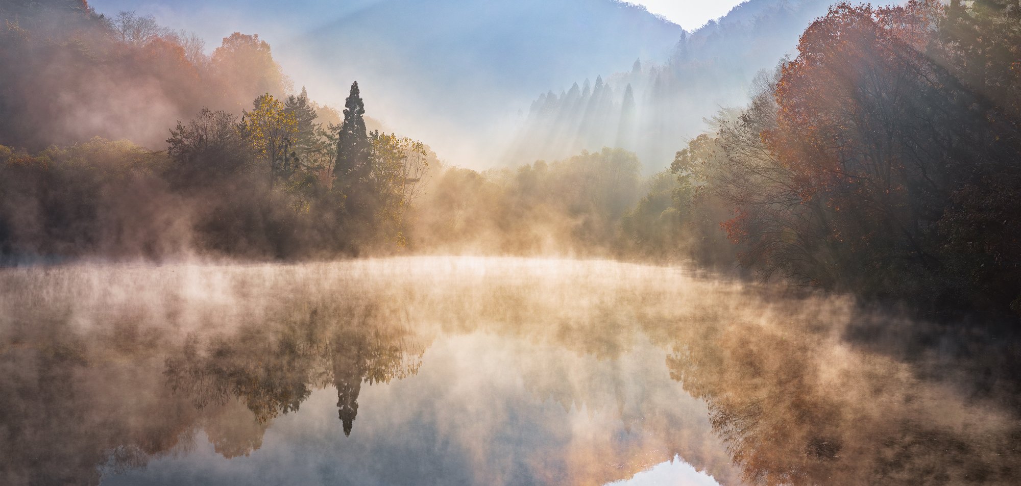 reflection, foliage, Autumn, foggy, morning, Jaeyoun Ryu