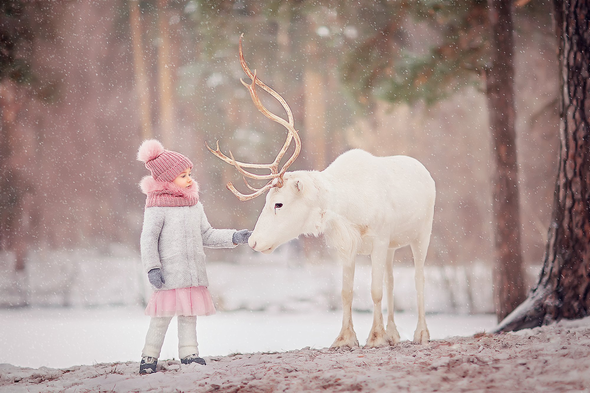 олень девочка лес зима сказка, Екатерина Белоножкина