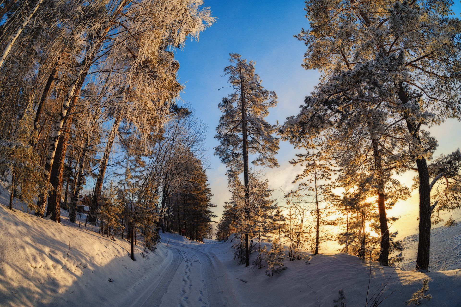 утро  дорога  зима  утро  мороз  деревья  прогулка, Евгений Плетнев