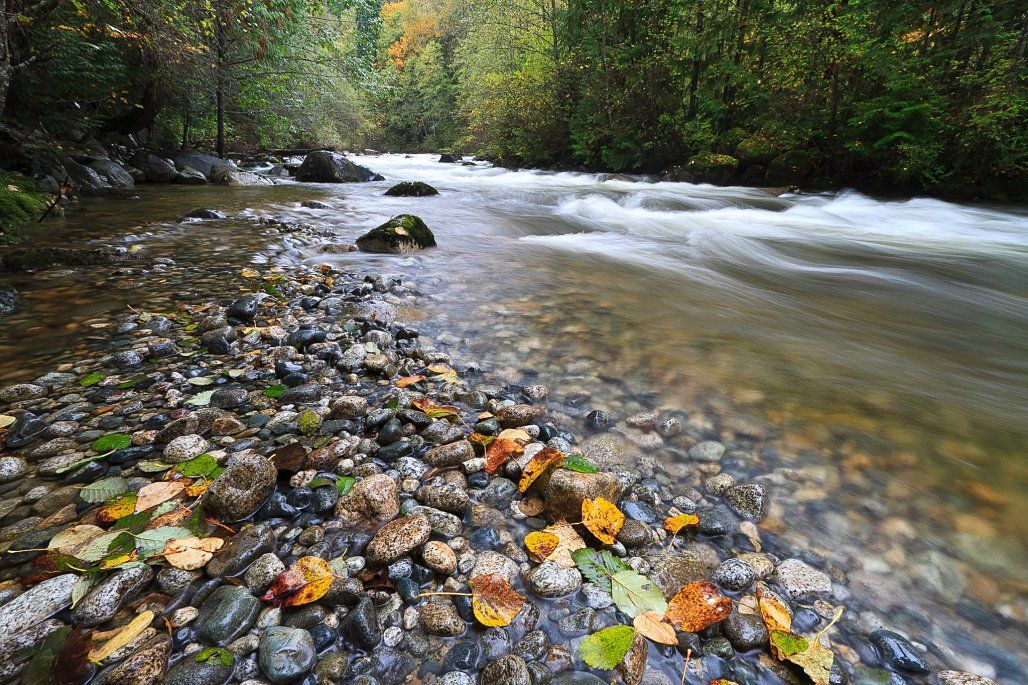 Жизнь течет как река. Камушки в речке. А по камушкам речка. Река камушки. Река по камушкам.