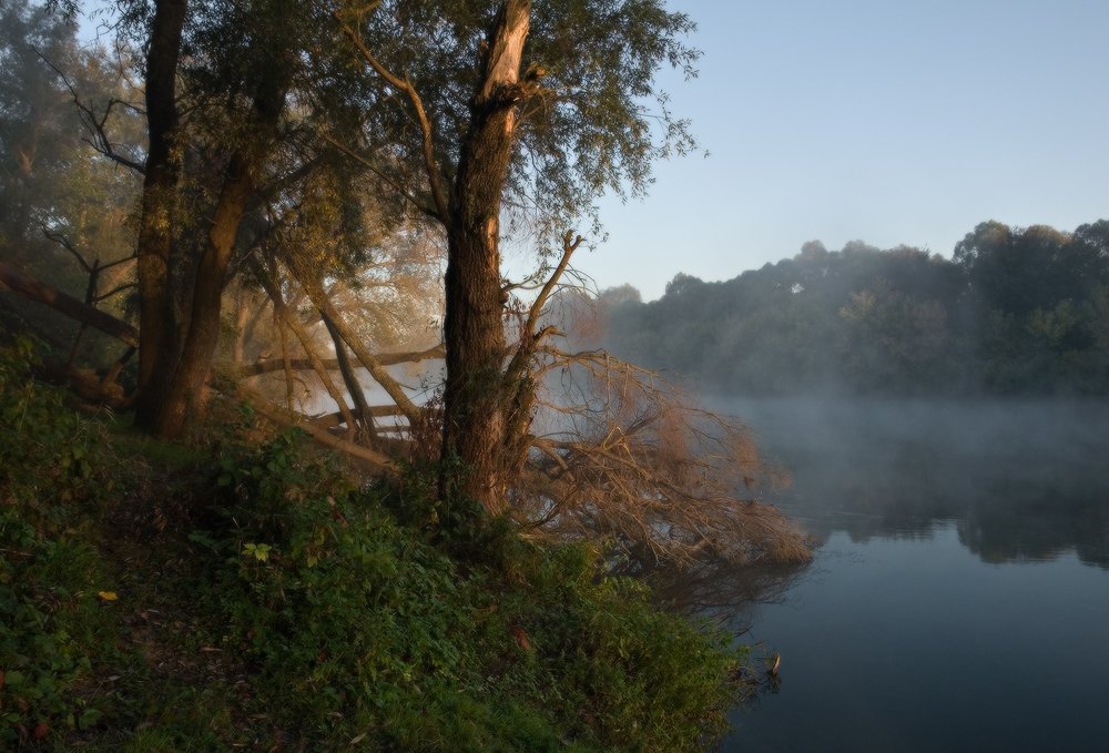 утро, река, свет, туман, деревья, Art Loo
