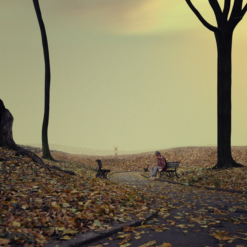 dog, tree, autumn, bench, old man, alone, fog, Caras Ionut