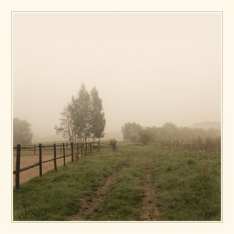 туман, утро, пейзаж, Oleg Dmitriev