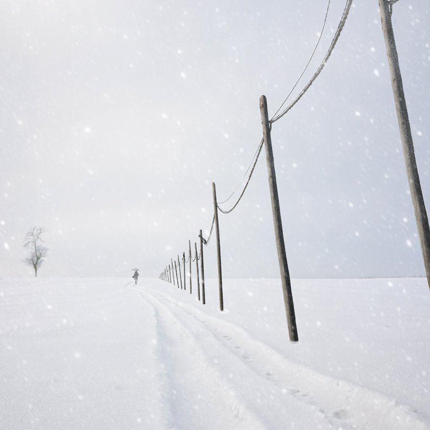snow, woman, pole, light cable, winter, tree, truck drift, Caras Ionut