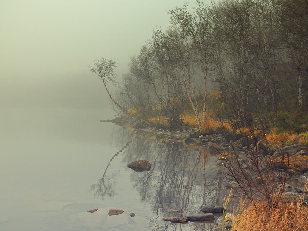 осень, туман, озеро, Victor