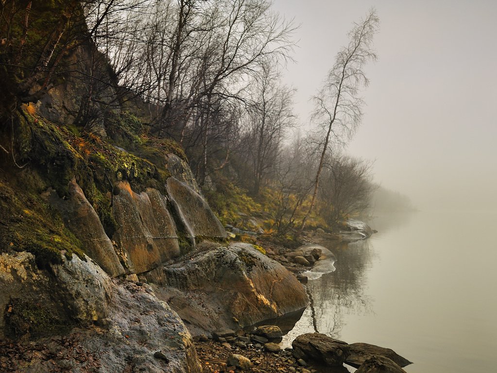 озеро, туман, осень, Victor