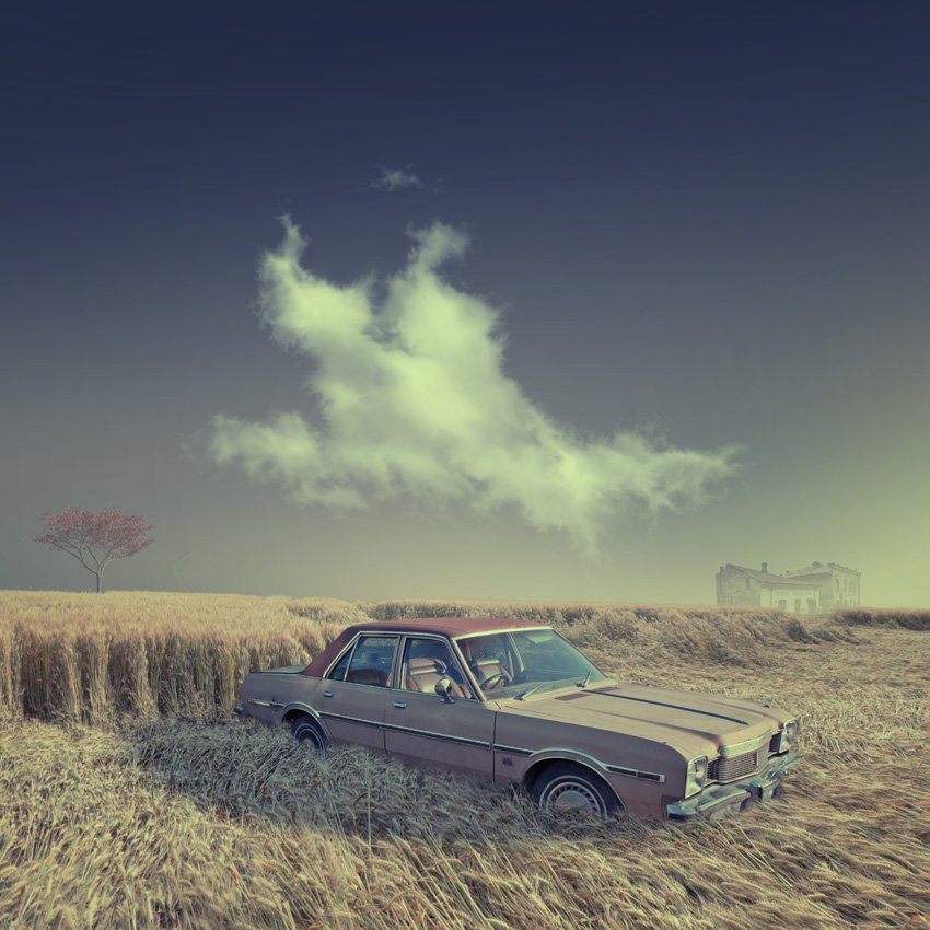 tree, car, dodge, house, building, wheat, wind, strong, clouds,, Caras Ionut