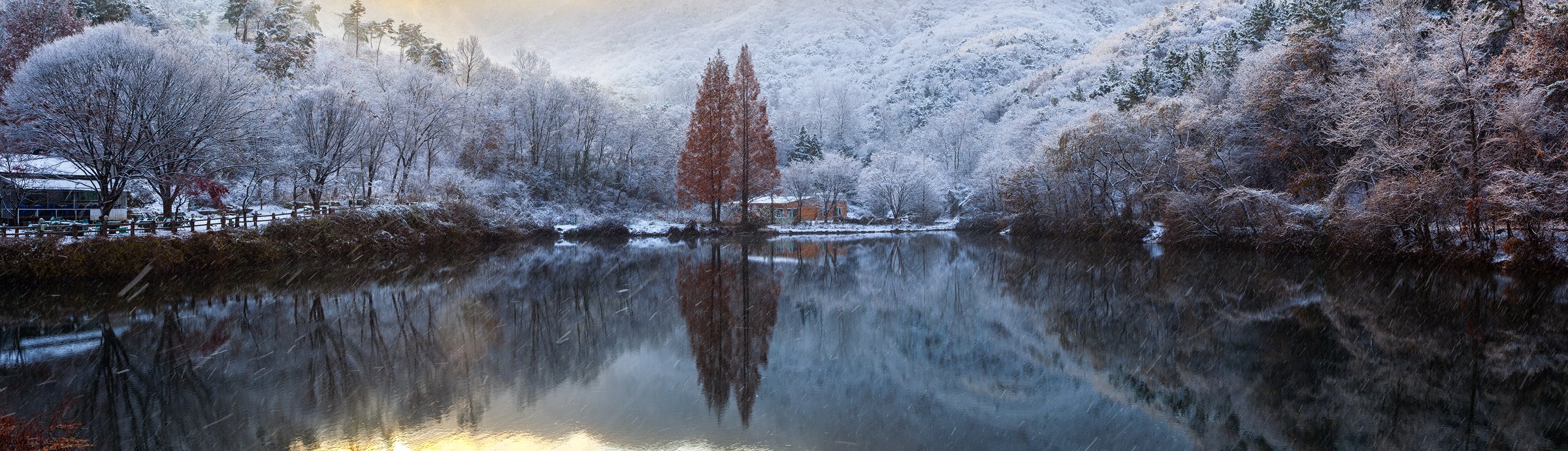 reflection, frost, light, winter, snowy, Jaeyoun Ryu