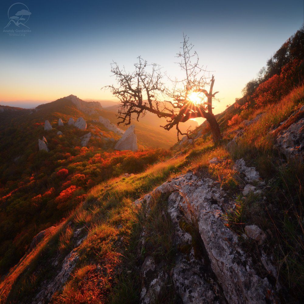 пейзаж, природа, горы, крым, осень, Анатолий Гордиенко