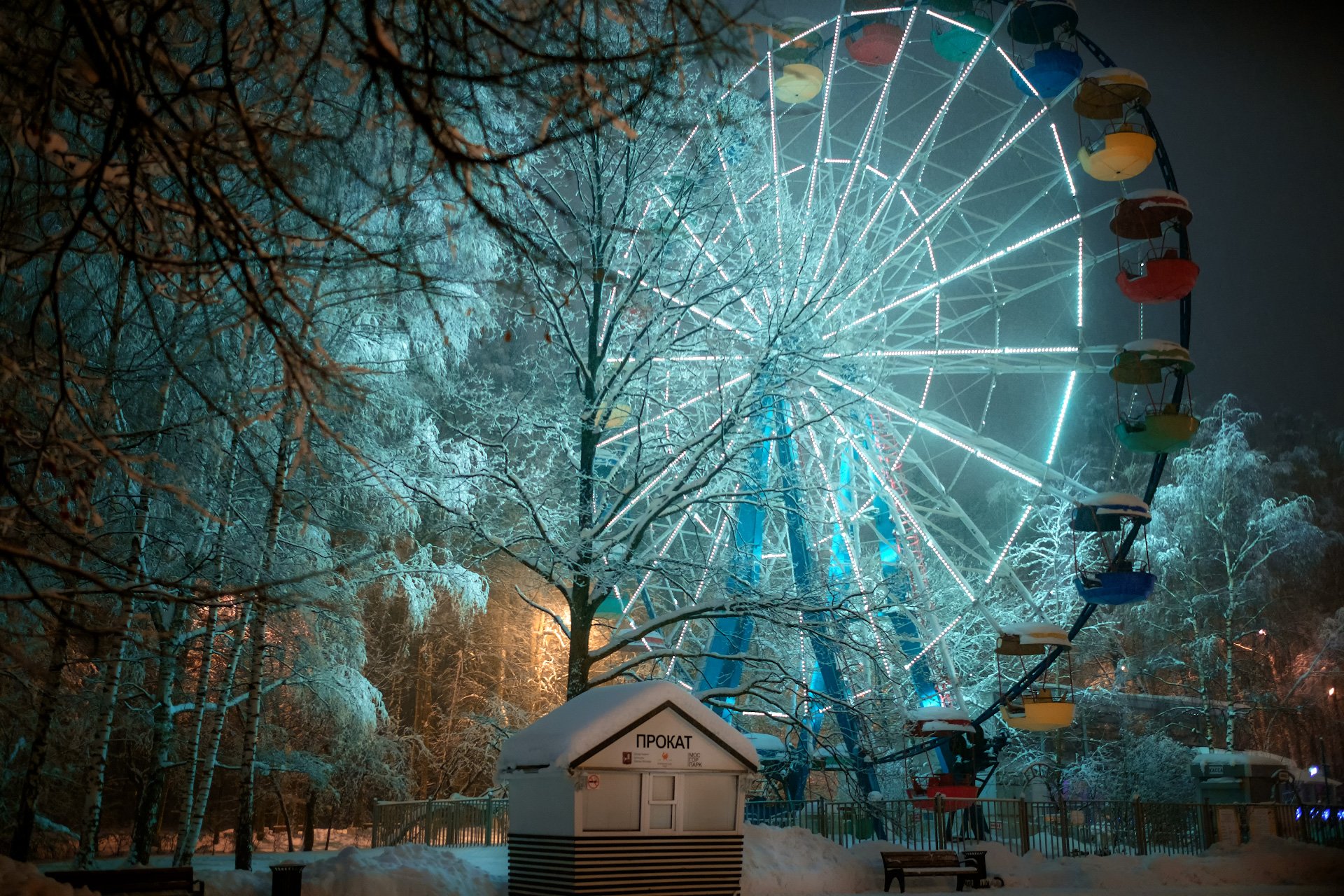 колесо, обозрения, снег, зима, парк, измайлово, вечер, снегопад, Андрей Чиж