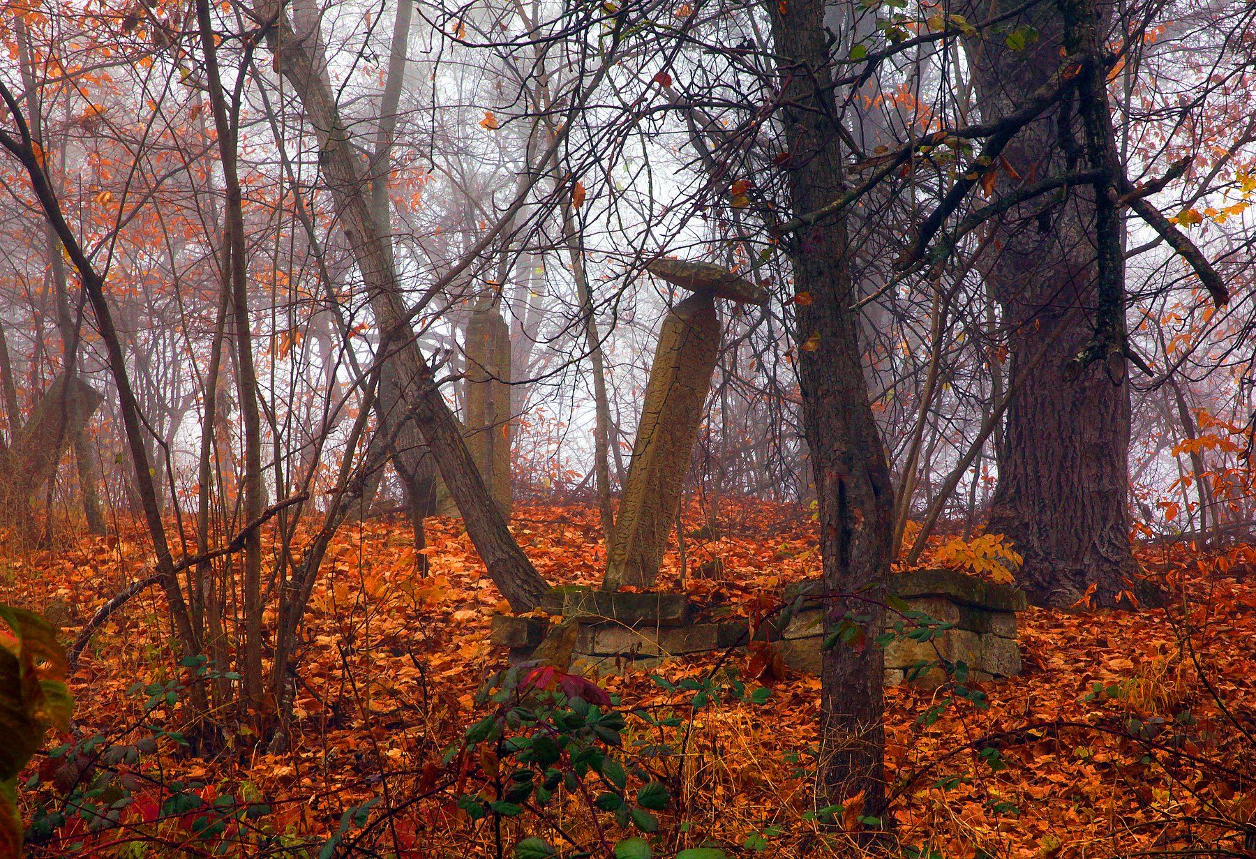 осень,деревья,день,пейзаж,кладбище, Marat Magov