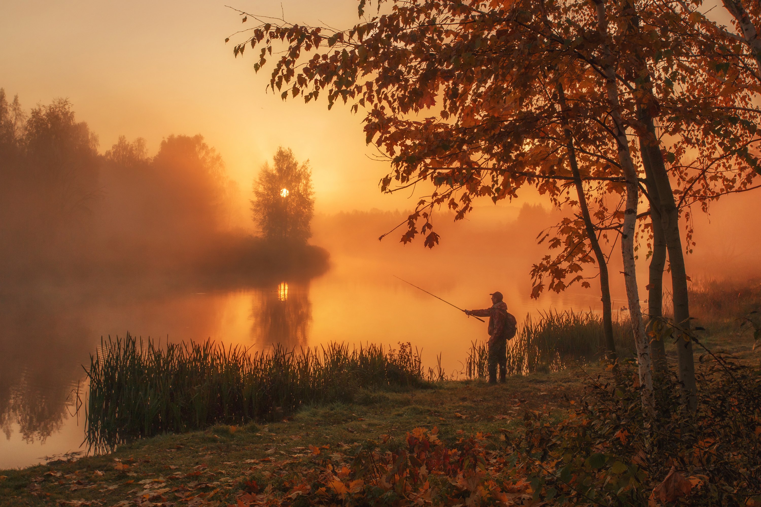 наедине c природой, утро, осень, туман, рассвет, октябрь, рыбалка, минск, беларусь, Andrey Kozlov