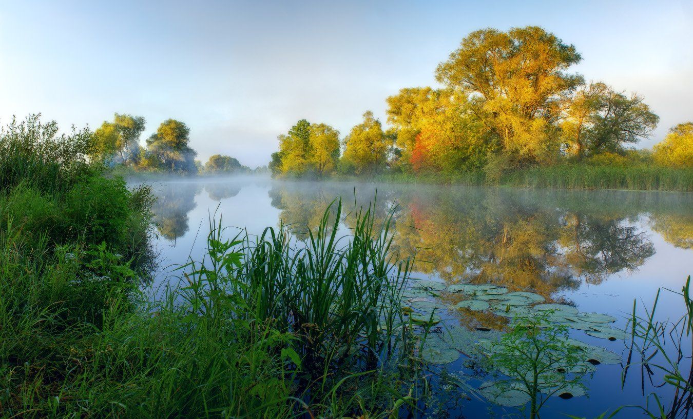 панорама, северский донец, туман, утро, река, украина, Виктор Тулбанов