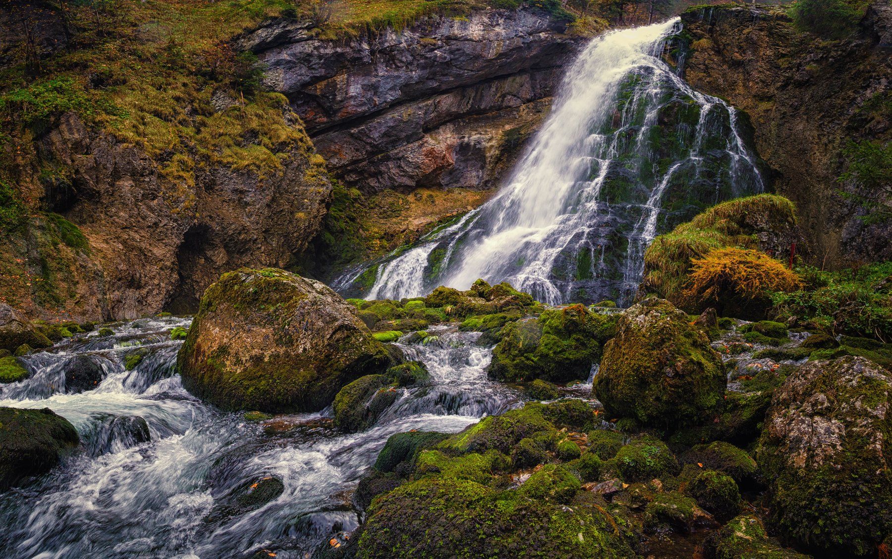 природа  осень листва утро туман путешествия пейзаж вода водоём водопад озеро австрия скалы горы отражения, Андрей Ожерельев