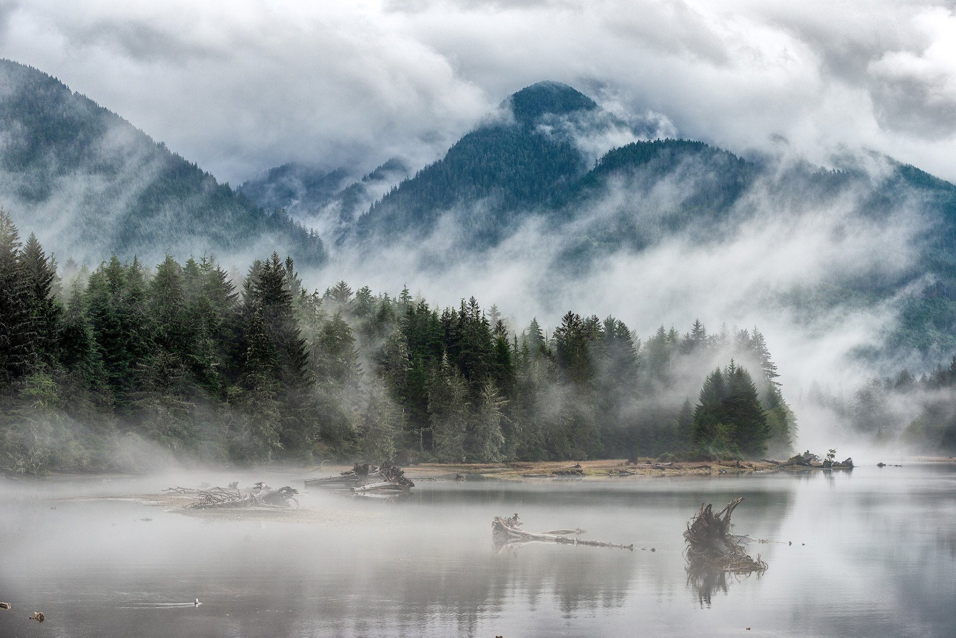 лес, туман, река, вода, горы, осень, облака, пейзаж, Канада, Сергей Пестерев