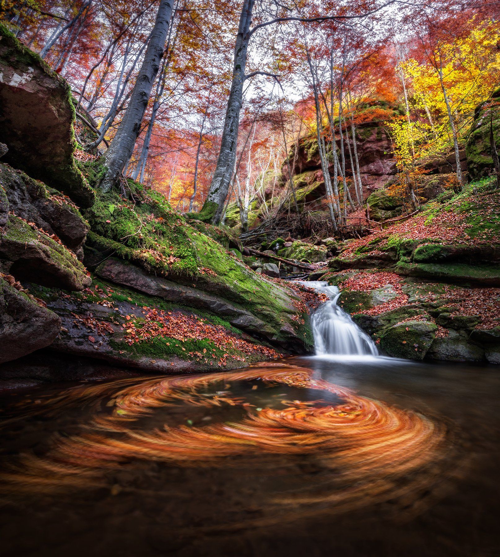 landscape nature scenery forest wood mountain waterfall fall autumn leaves balkan stara planina bulgaria, Александър Александров