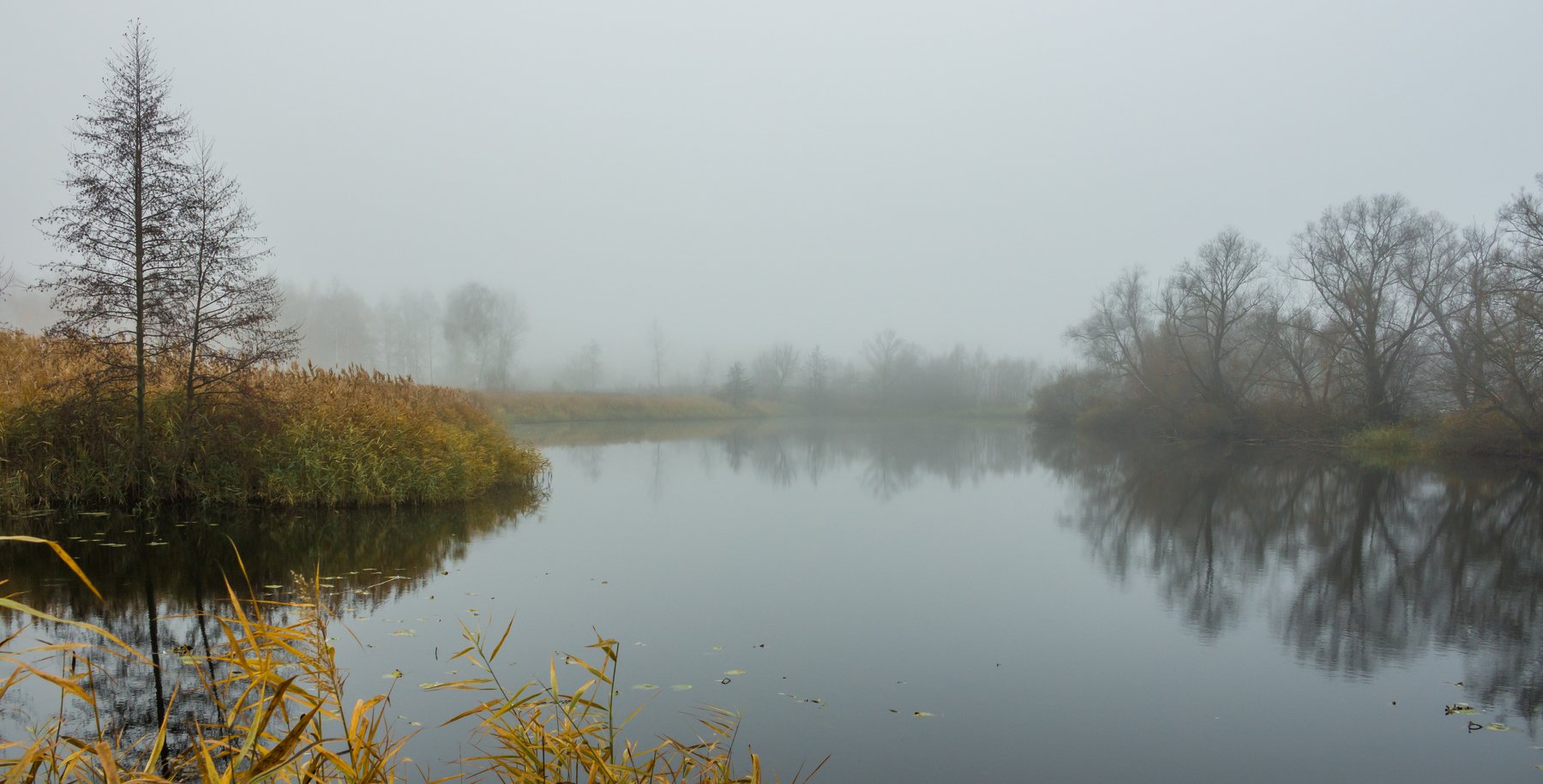туман, река, осень, ольха, Руслан Востриков