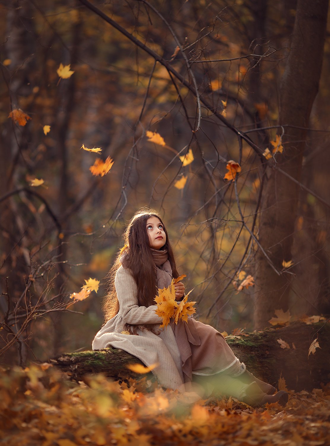 осень, листопад, девочка, лес, фотосессия в лесу, Катрин Белоцерковская