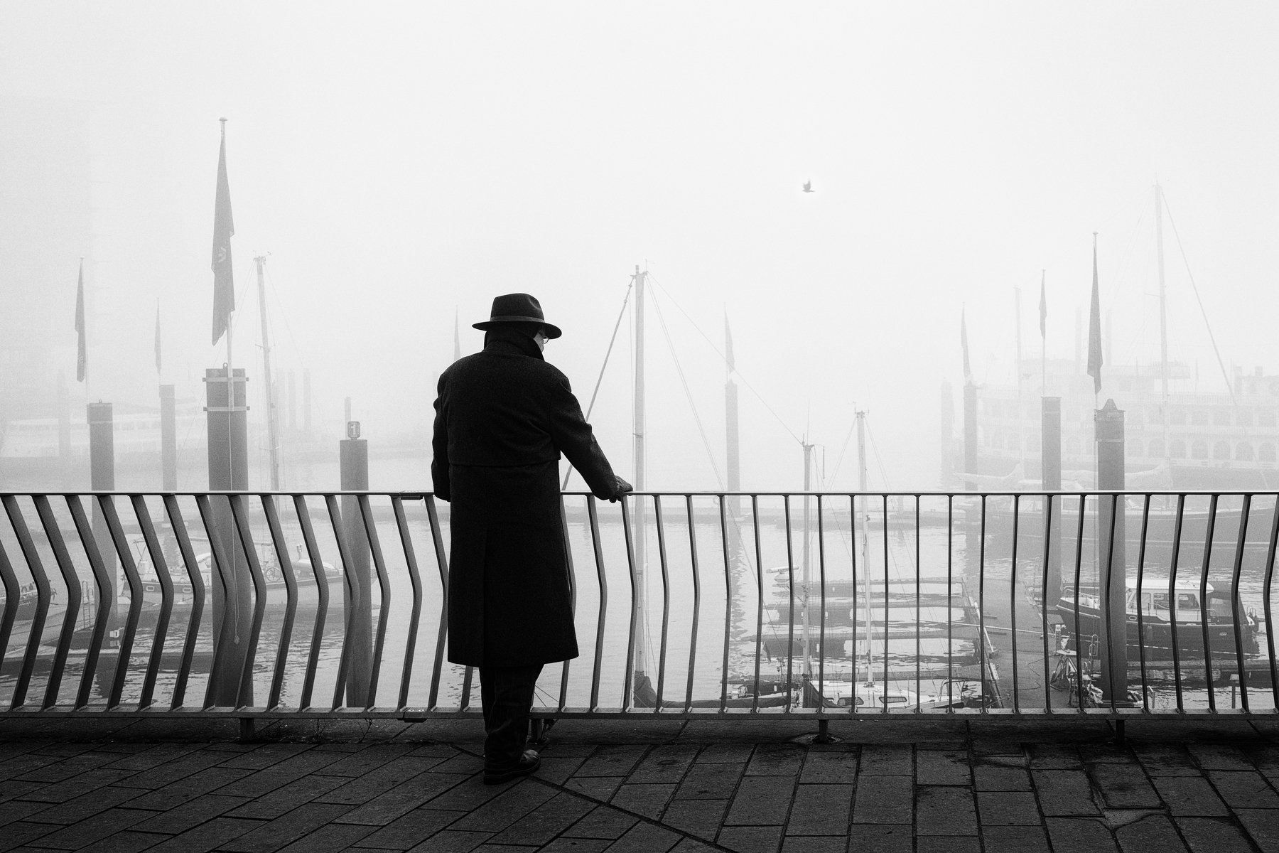 hamburg, street, person, urban, fog, mist, haze, harbour, hat, Alexander Schönberg
