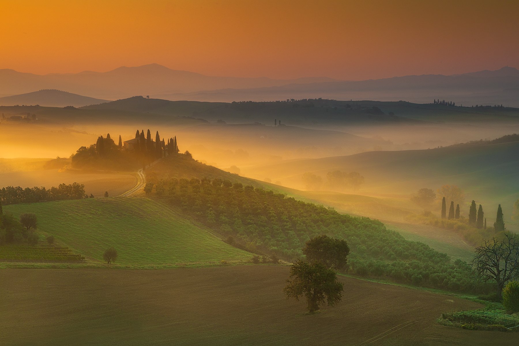 tuscany, italy, morning, Yuri Tislenko