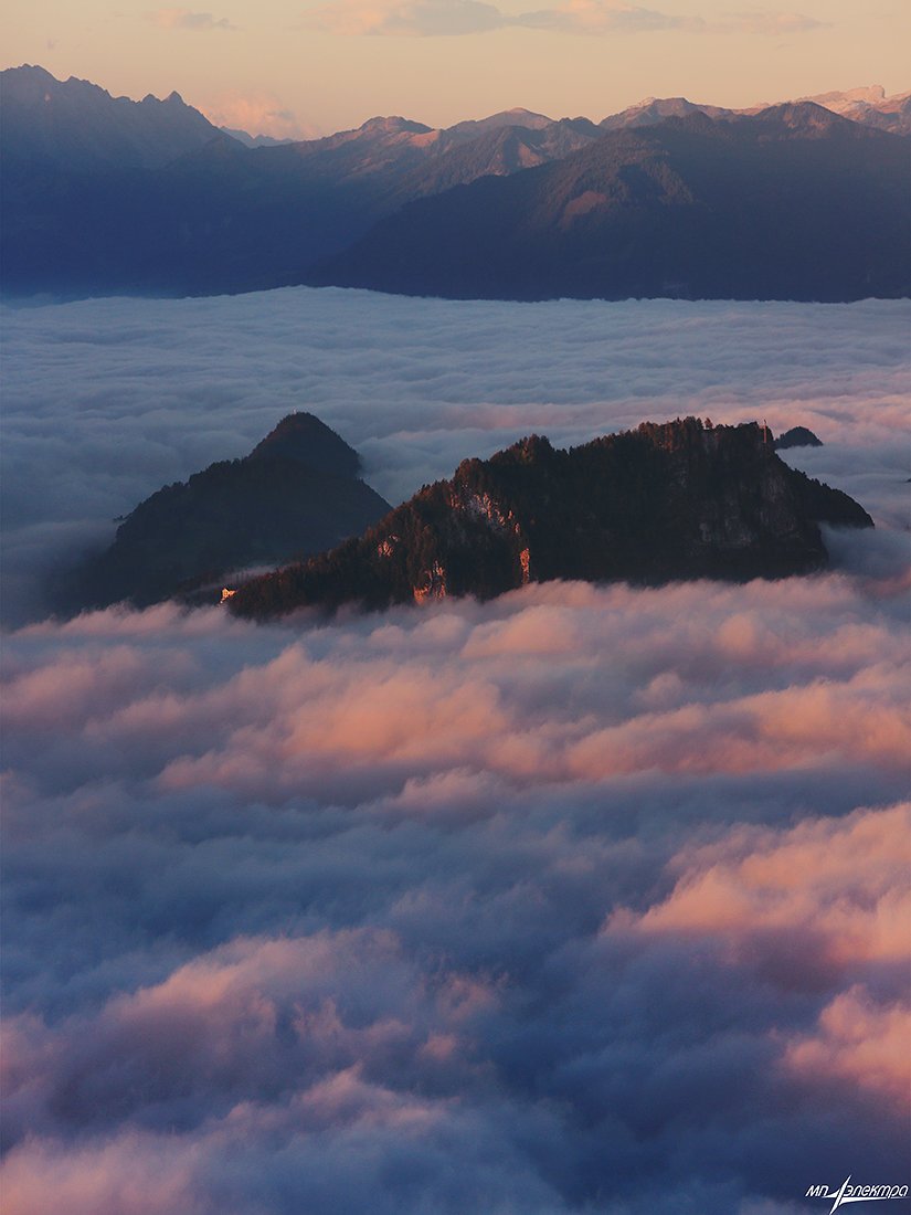 swiss, Матвеев Николай