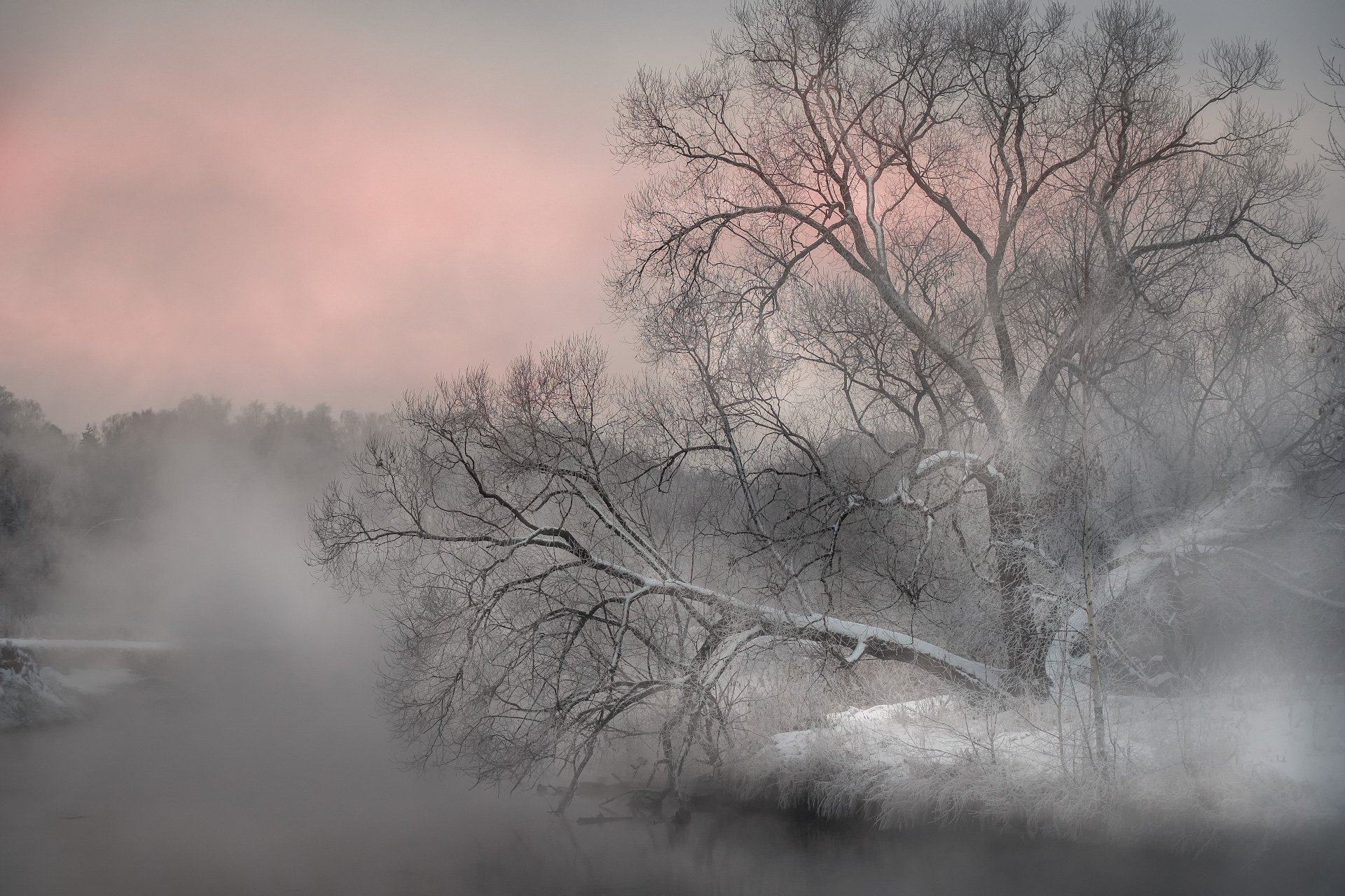 пейзаж, пехорка, река, пар, лед, снег, туман, деревья, декабрь, утро, рассвет, Андрей Чиж