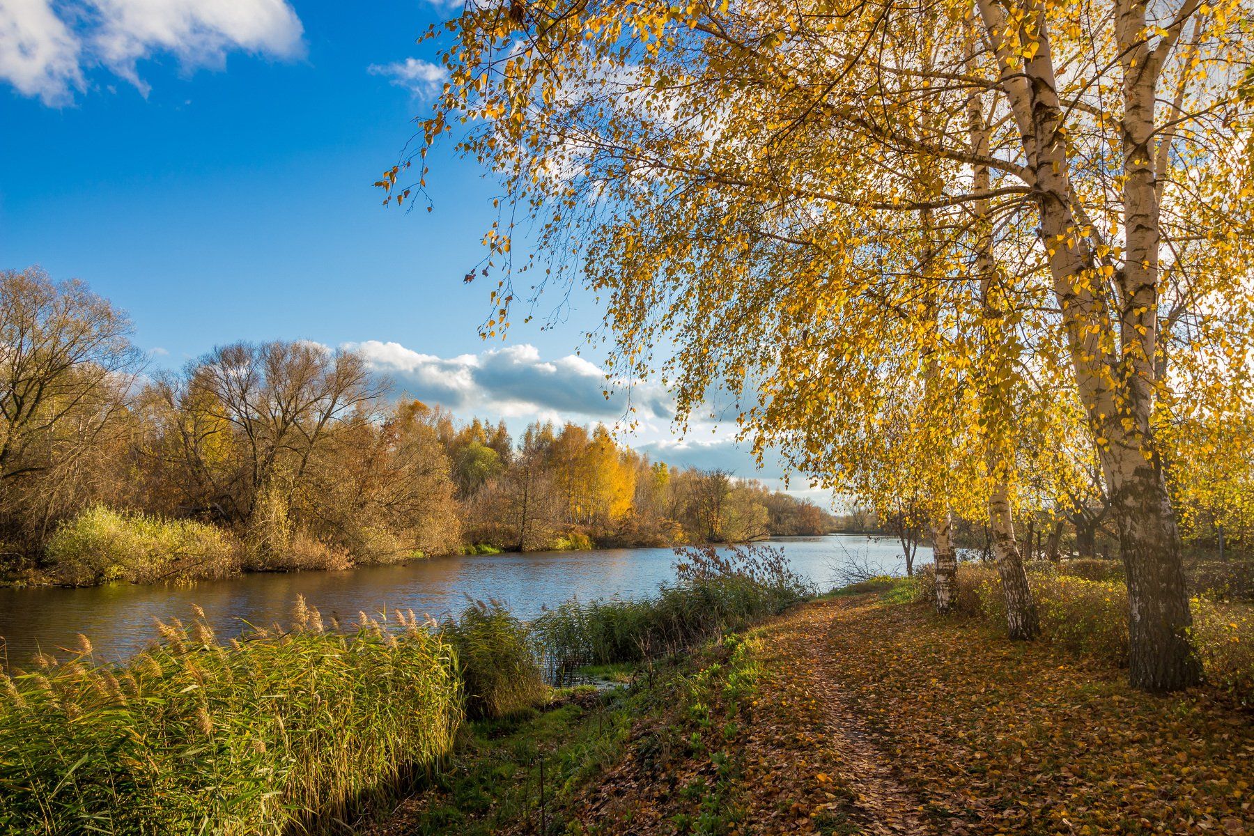 река, осень, октябрь, берёзы, Руслан Востриков