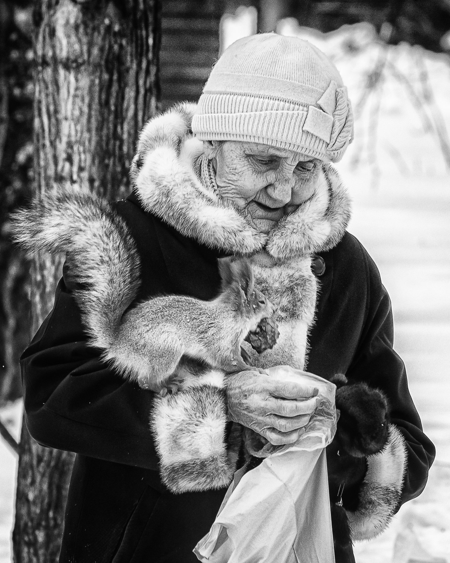 , Андрей Поляков